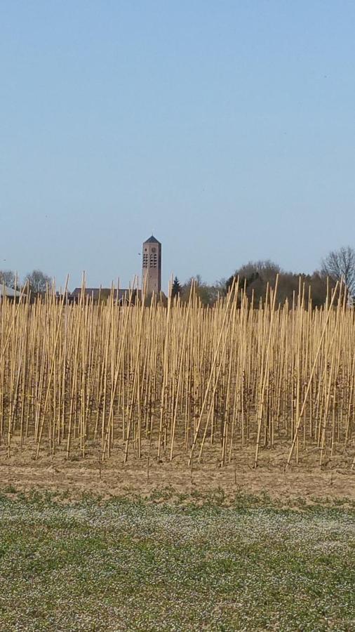 B&B Perron 22 Vierlingsbeek エクステリア 写真