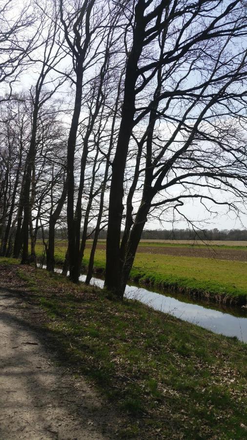 B&B Perron 22 Vierlingsbeek エクステリア 写真